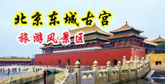 大美女拍拍喷水视频网站中国北京-东城古宫旅游风景区